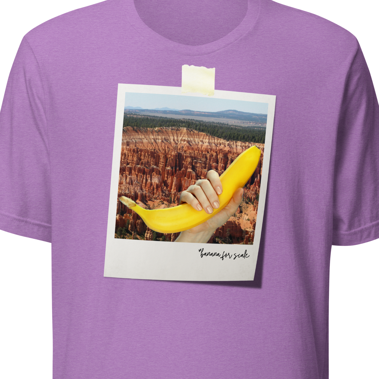 Scenic Canyon (banana for scale) - T-shirt