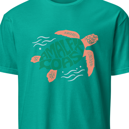 Teal t-shirt with a turtle graphic and text 