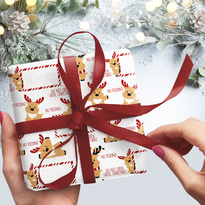 Gift wrapped in festive paper with reindeer design and red ribbon, set against a Christmas tree background.