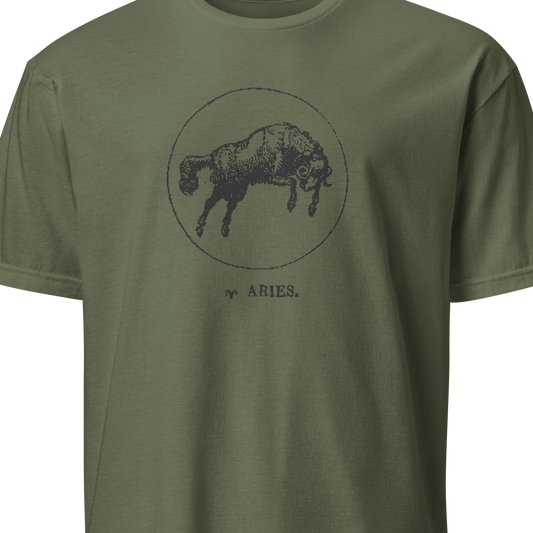 Green t-shirt with a black bull graphic and 'Aries' text on a white background