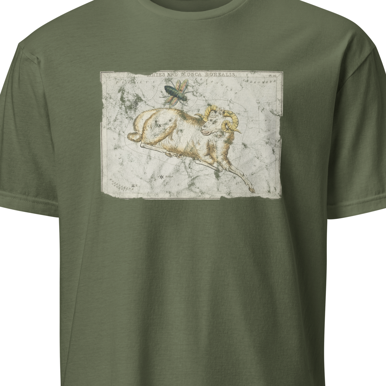 Green t-shirt with a lion graphic on a white background