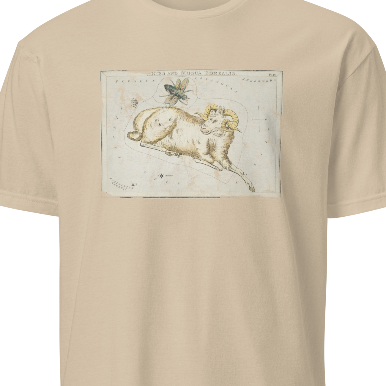 Beige t-shirt with a graphic of a lion on a white background