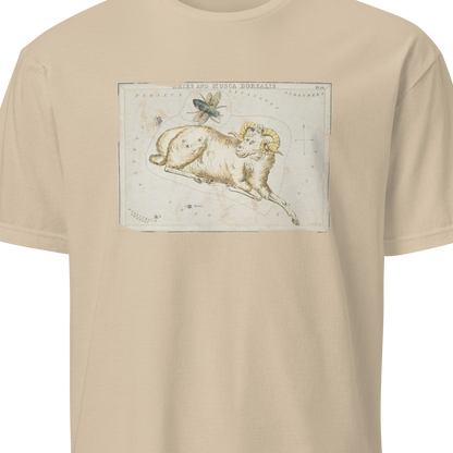 Beige t-shirt with a graphic of a lion on a white background