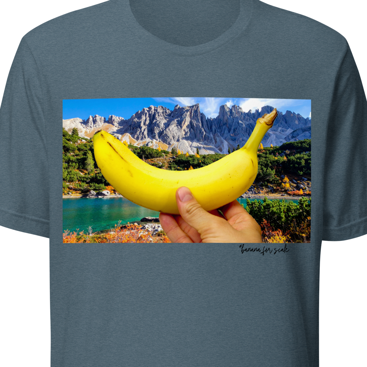 Gray t-shirt with a graphic of a hand holding a banana over a scenic landscape.