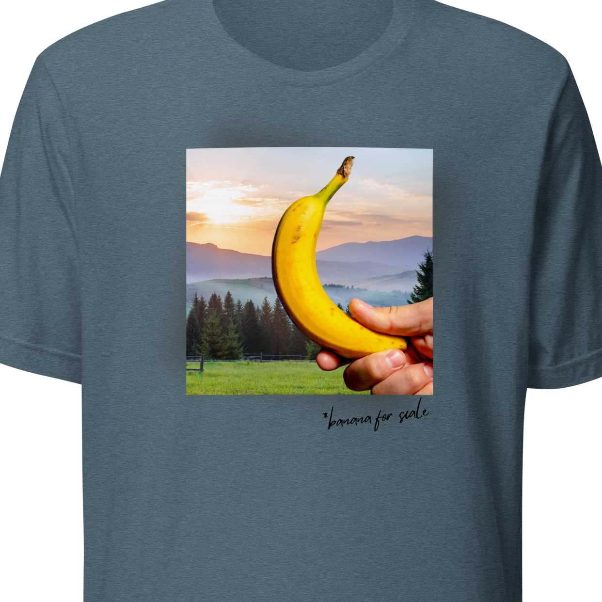 Blue t-shirt with a graphic of a hand holding a banana over a sunset landscape on a white background.