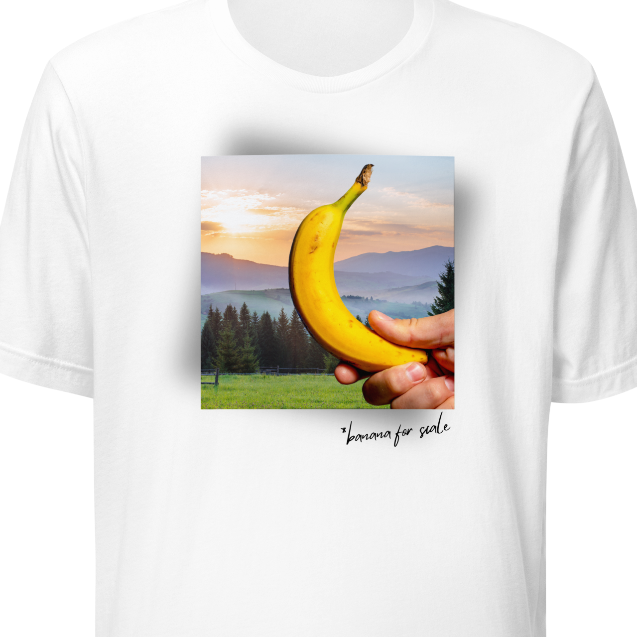 Misty Mountains (banana for scale) - T-shirt