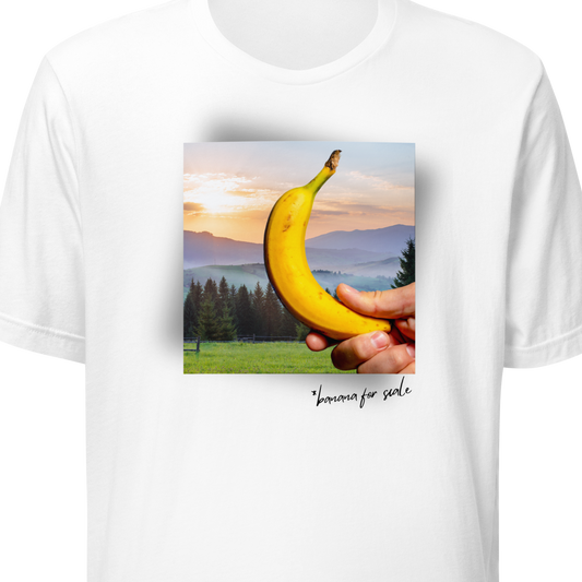 Misty Mountains (banana for scale) - T-shirt